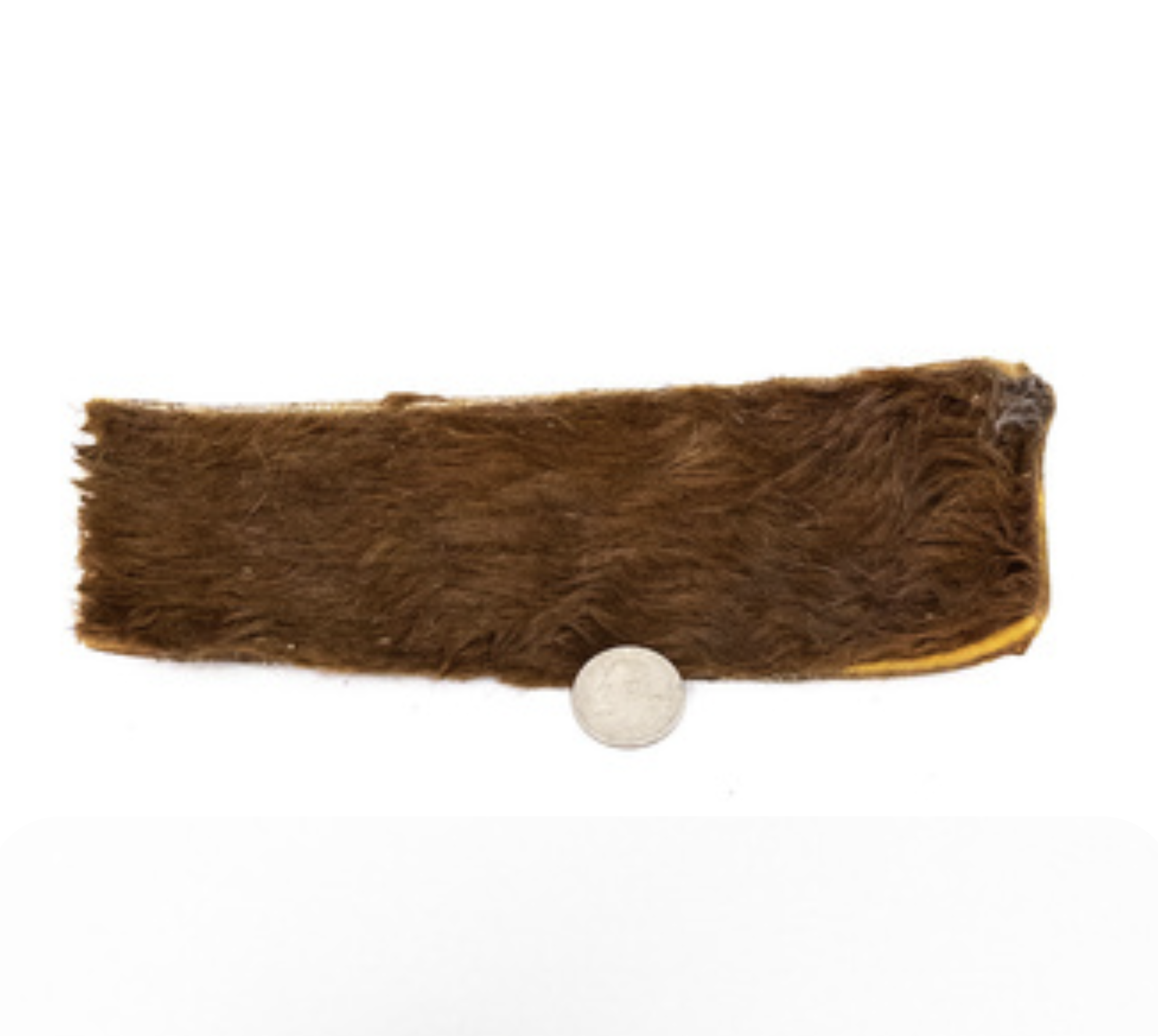 Beef Hide Strip - Pawniolo Pets